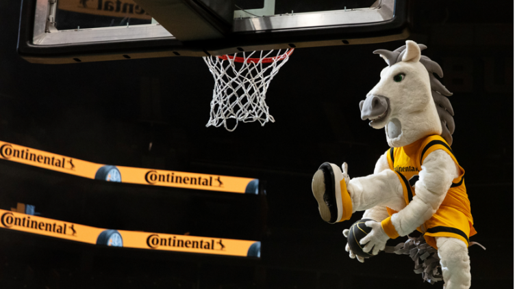 bball cover